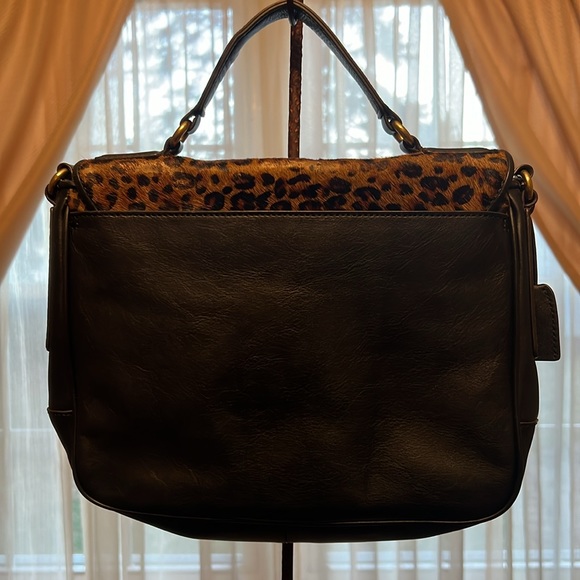 Fossil - Picture 2 of 10